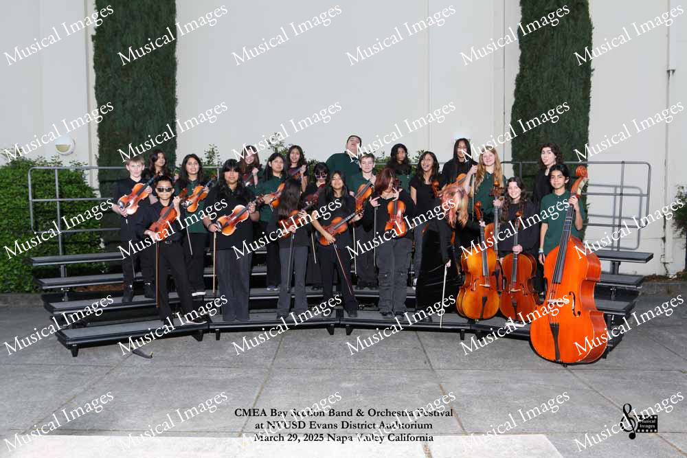 Musical Images